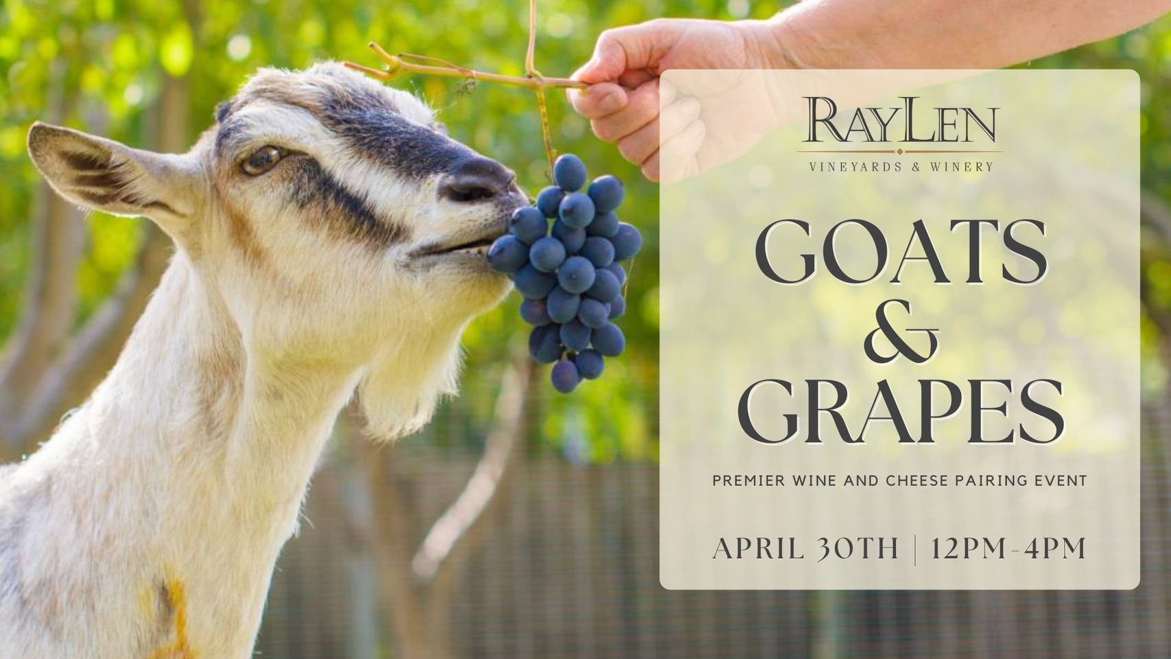 Goats & Grapes EarlyGroove
