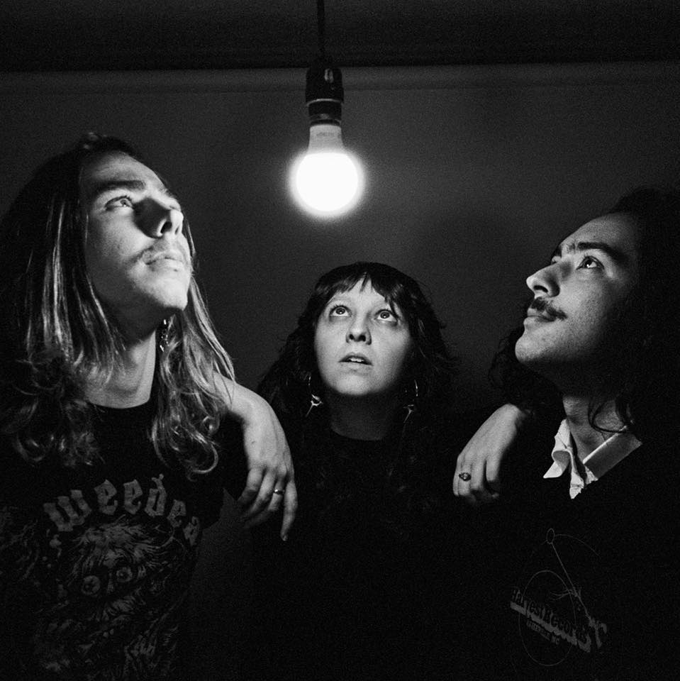 Fortezza Pie Face Girls EarlyGroove