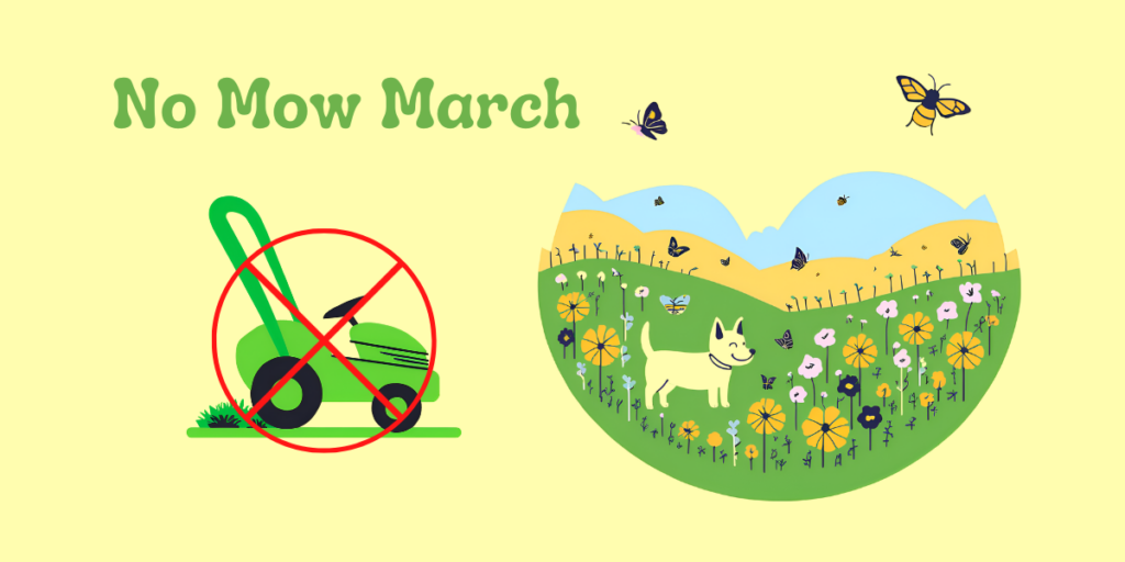 No Mow March 6 No Mow March