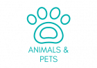 Animals &Amp; Pets
