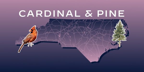 Cardinal Pine