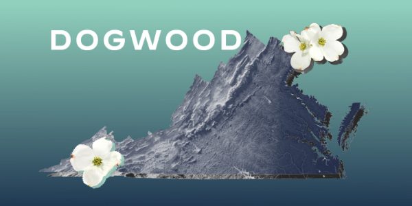 Dogwood