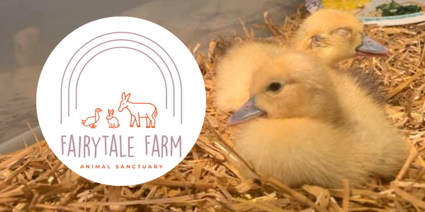 Fairytale Farm Cover